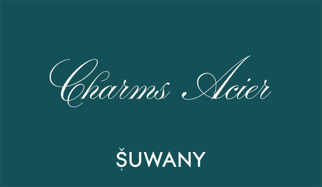 Charms Acier